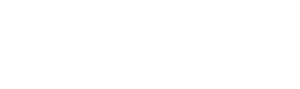 LOGO-NET-ON--white